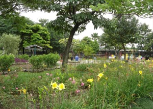 Parque Vila Guilherme Trote - PVGT na Vila Guilherme 